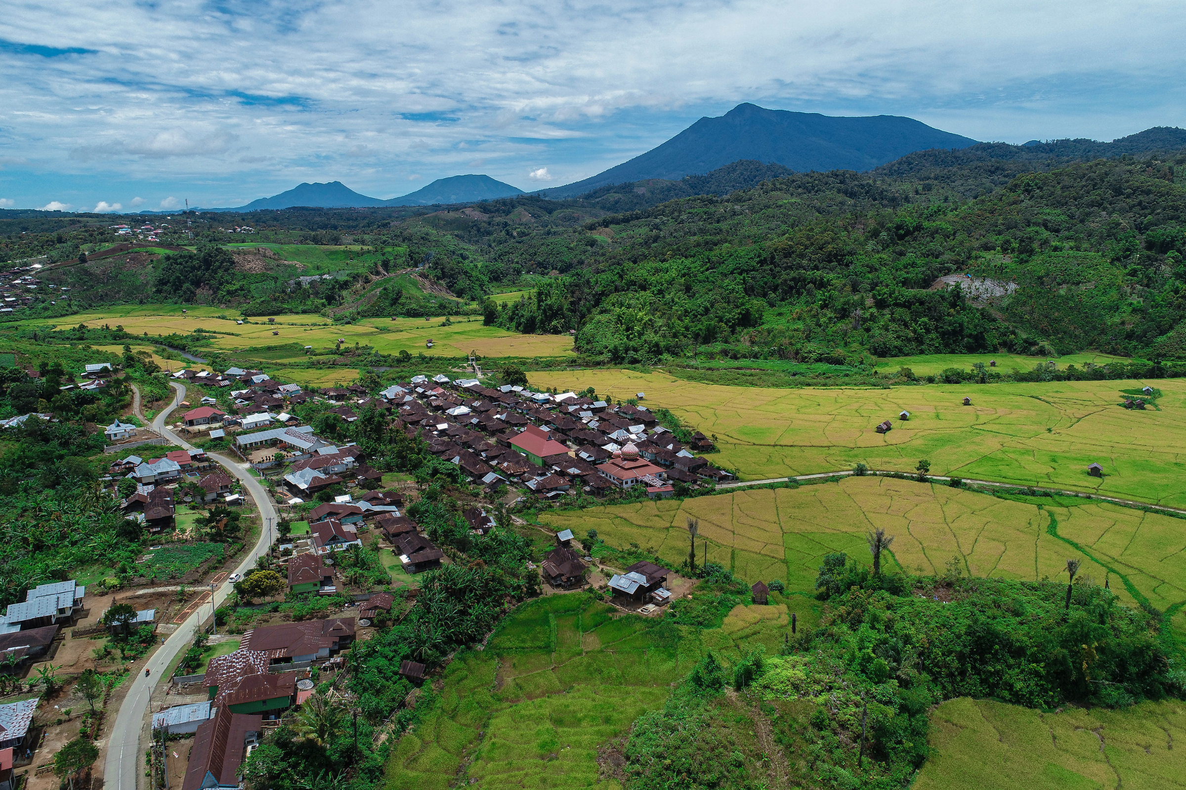 pulau koon (2).webp